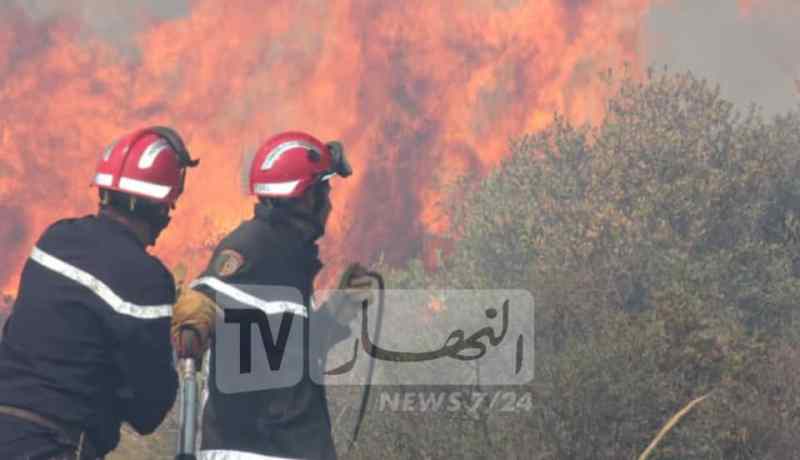 ولاية تيبازة تدعو الفلاحين المتضررين من الحرائق إلى ايداع ملفات طلبات التعويض