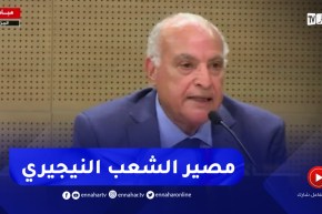 وزير الخارجية يرد حول مصير شعب النيجر خلال الأزمة
