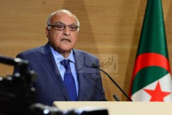 عطاف: هذا موقف الجزائر من الأزمة في النيجر منذ اللحظة الأولى