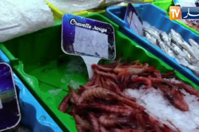 السردين بـ 700 دج.. غلاء الأسعار يغيب السمك عن موائد الجزائريين