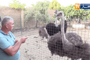 هذا ماقاله وزير السياحة لأحد الشباب الراغب في “الحرقة”