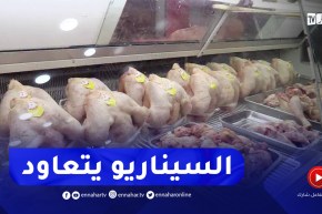 بعد أسابيع من الاستقرار.. سيناريو أسعار الدجاج يتكرر ببرج بوعريريج