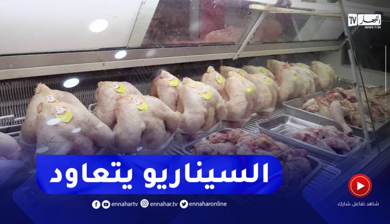 بعد أسابيع من الاستقرار.. سيناريو أسعار الدجاج يتكرر ببرج بوعريريج