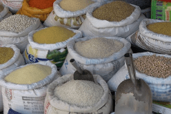 بكميات كافية.. 310 نقطة بيع للحبوب خلال رمضان