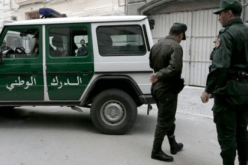 العاصمة: وضع حد لورشة تزوير وتوضيب منتجات موجهة للإستهلاك الحيواني