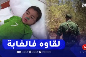 العثور على الطفل المفقود سراج بعد 18 ساعة من البحث بغابة السواقي بالمدية