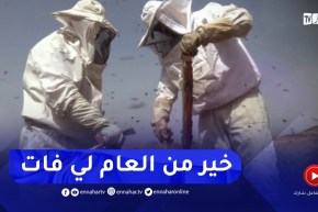 قالمة : الأمطار الغزيرة لشهر ماي تنقذ الموسم..توقع تسجيل نتائج جيدة في جني العسل