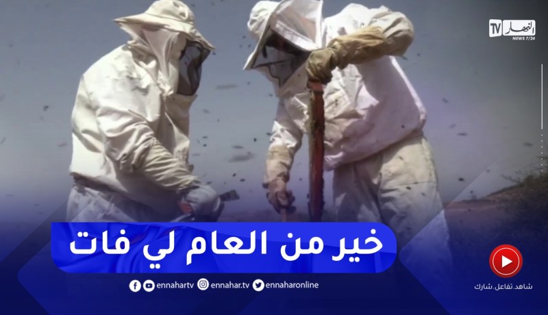 قالمة : الأمطار الغزيرة لشهر ماي تنقذ الموسم..توقع تسجيل نتائج جيدة في جني العسل