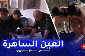 سطيف : يوميات العين الساهرة على حماية 125 ألف هكتار من المساحات الغابية