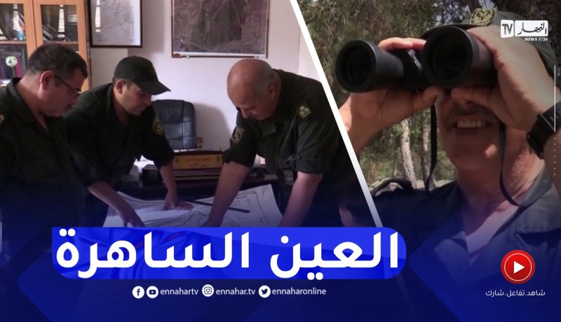 سطيف : يوميات العين الساهرة على حماية 125 ألف هكتار من المساحات الغابية