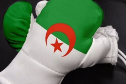 الجزائر تختم مشاركتها في البطولة الإفريقية للملاكمة في وصافة الترتيب