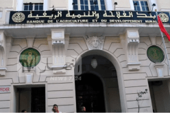 تنصيب لجنة مشتركة بين وزارة الصيد البحري وبنك “بدر” لمرافقة المهنيين