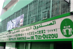 تيزي وزو.. تعويض 14 مزارعا للحبوب من ضحايا الحرائق والبرد