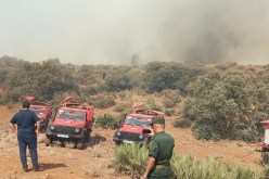 تلمسان: الوالي يتابع ميدانيا جهود إخماد حريق بغابة أم العلو
