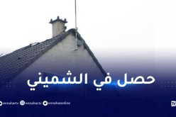 دخل ليسرق منزلا فعلق داخل المدخنة.. جزائري في قبضة الشرطة الفرنسية