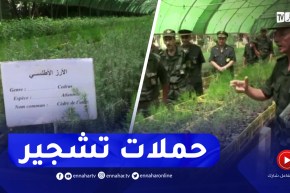 مشتلة عين آزال بسطيف تنطلق في حملات التشجير لمختلف المناطق المتضررة من الحرائق