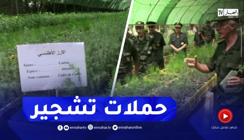 مشتلة عين آزال بسطيف تنطلق في حملات التشجير لمختلف المناطق المتضررة من الحرائق