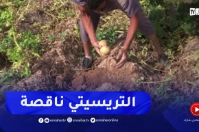 باتنة : ضعف المحول الكهربائي يرهن واقعا فلاحيا واعدا بمنطقة ذراع قلالوش