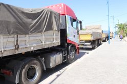 تقديم 1150 طنا من المساعدات لمتضرري حرائق الغابات بـ 4 ولايات