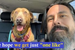 فيديو مؤثر.. رجل يعثر على كلبه بعد 4 سنوات من الاختفاء