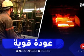 تطوير صناعة الحديد والصلب.. مركب الحجار بحلة جديدة مستقبلا