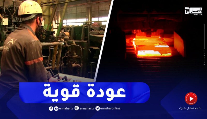 تطوير صناعة الحديد والصلب.. مركب الحجار بحلة جديدة مستقبلا