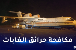 رئيس الجمهورية: استلمنا طائرة من الحجم الكبير واستأجرنا 6 طائرات أخرى لمجابهة الحرائق