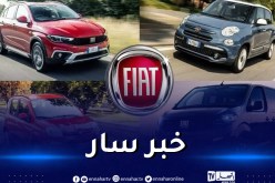 من بينها Fiat Doblo.. وزارة العدل تشرع في محاربة المضاربة في سوق بيع السيارات