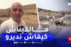 تيارت : الجفاف يضرب الآبار..والموالون في رحلة بحث عن المياه والأعلاف لماشيتهم