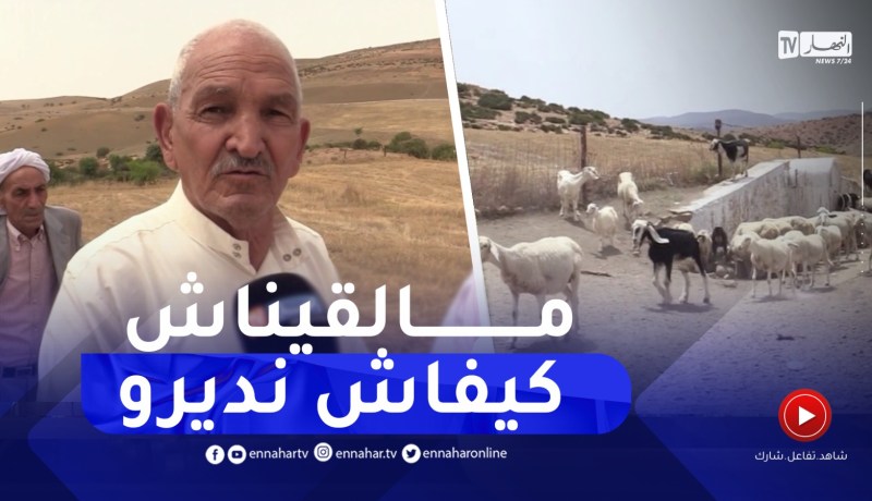 تيارت : الجفاف يضرب الآبار..والموالون في رحلة بحث عن المياه والأعلاف لماشيتهم