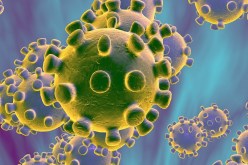 فرنسا تسجل أول إصابة بمتحور كورونا الجديد بيرولا