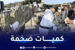 وزارة الدفاع: إتلاف قرابة 5 أطنان “كيف” وأزيد من 8 ملايين “قرص مهلوس” بوادي سلي بالشلف