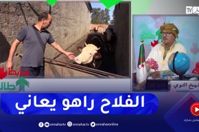 طالع هابط : الشيخ النوي يرد حول منع إستيراد العجول والبقر بسبب الفيروس.. ويعطيكم الحل