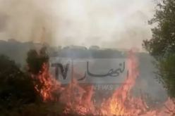 اخماد 4 حرائق بهذه الولايات