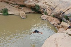  انتشال جثة غريق من بركة مائية بتمنراست