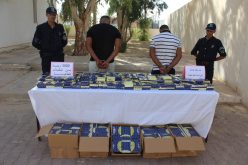 الوادي.. أمن إميه ونسة يحجز  5000 وحدة من المنشطات الجنسية المهربة
