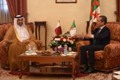 وزير الفلاحة يبحث سبل تعزيز التعاون الثنائي مع وزير البيئة القطري