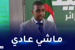 ممثل الفيفا ينبه لعدم استقرار الفاف وتأثيره على تطوير كرة القدم الجزائرية