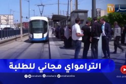 تعليم عالي: رقمنة الخدمات ونقل مجاني عبر الترامواي .. تكفل أمثل بالطلبة