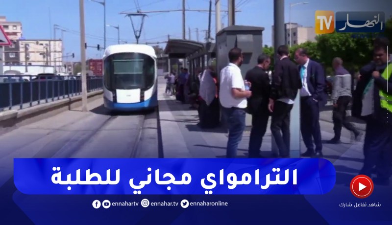 تعليم عالي: رقمنة الخدمات ونقل مجاني عبر الترامواي .. تكفل أمثل بالطلبة