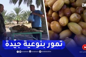 بسكرة / قبيل موسم جني التمور.. باكورة التمر مقصد مستعملي الطريق