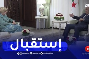 السفيرة الأمريكية: أعربت للرئيس تبون امتنان واشنطن لوقوف الجزائر مع دول جوارها خاصة خلال الكوارث