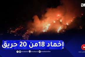 حرائق مهولة نشبت في 20 منطقة بغابات بجاية دون تسجيل خسائر بشرية