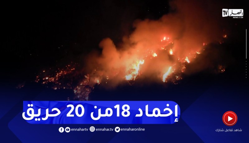 حرائق مهولة نشبت في 20 منطقة بغابات بجاية دون تسجيل خسائر بشرية