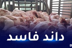 وهران.. حجز 7 قناطير من لحم الديك الرومي كانت موجه للتسويق