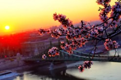 من القواعد الثمينة  للإستقرار النفسي