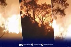 اندلاع حريق بغابات إيمولة بمنطقة المزاير بجيجل