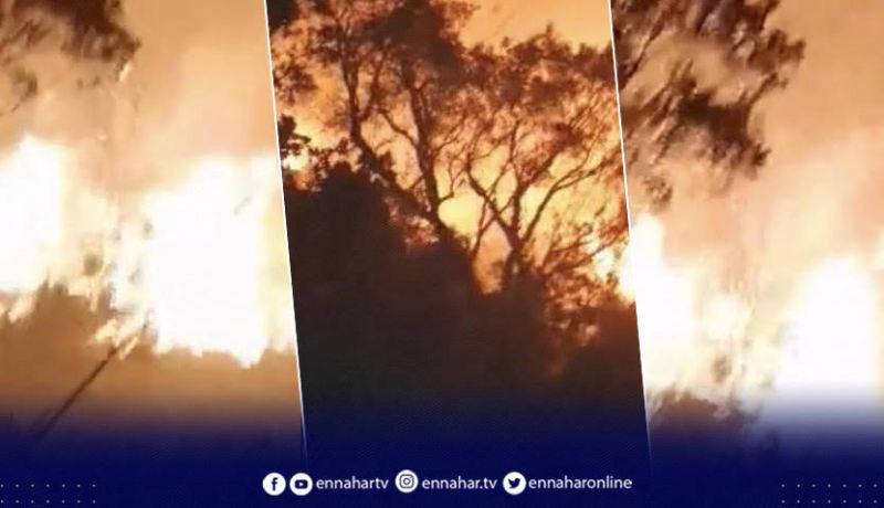 اندلاع حريق بغابات إيمولة بمنطقة المزاير بجيجل