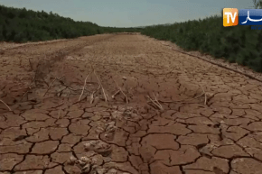 تحسبا لموسم الحرث والبذر .. مطالب بالإسراع في تعويض الفلاحين