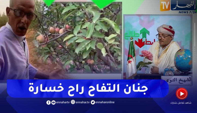 طالع هابط: فلاح يناشد النوي ويطالب بالمياه بعد خسائر كبيرة في أشجار التفاح